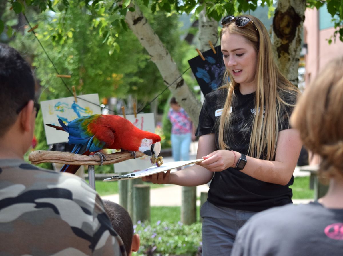 Image of a macaw painting with a sponge, helped by a staff person
