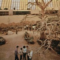 1966-skydome-safariroom.jpg