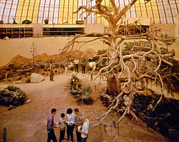 Safari Room in 1965