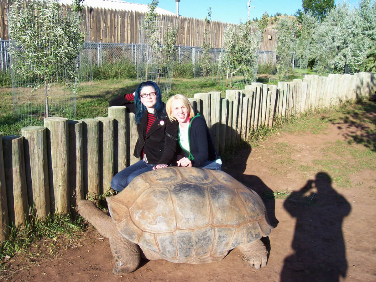 Take your photo with our Giant Tortoises