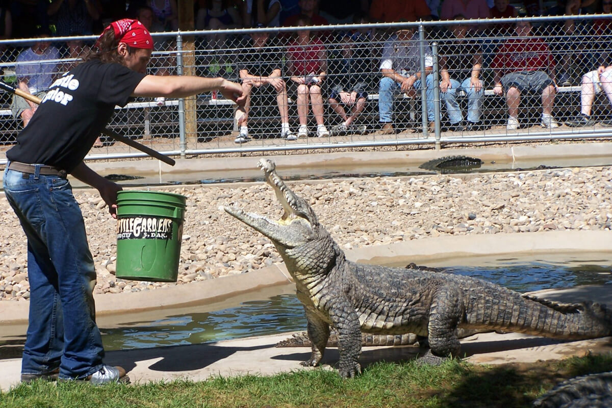 Feeding time - watch your fingers!