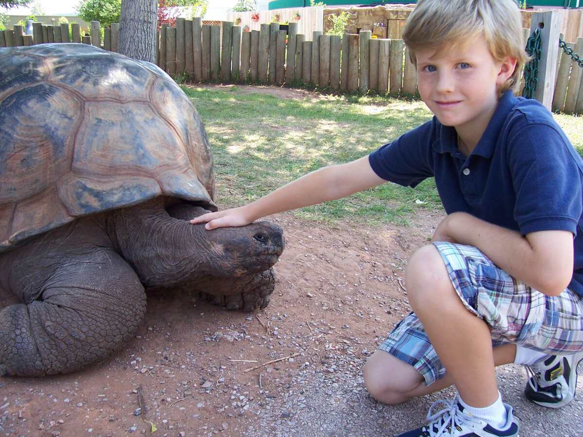 Giant Tortoises