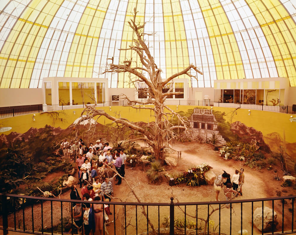 1965-skydome-safariroom.jpg