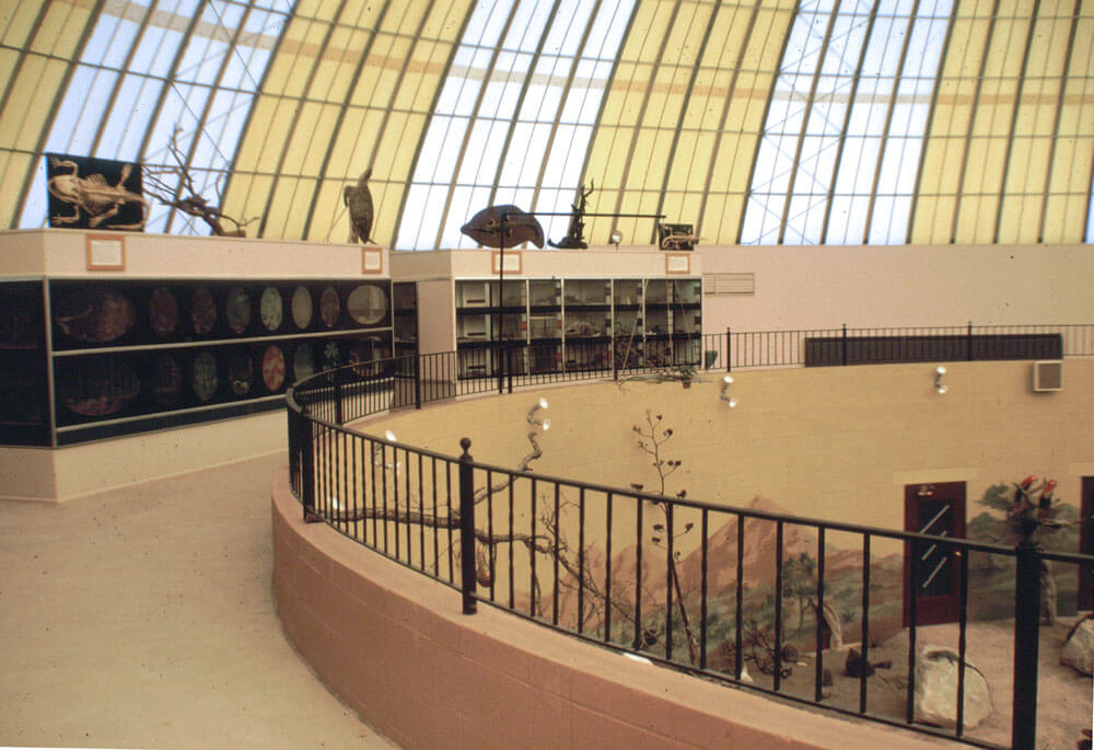 1965a-skydome-mezzanine.jpg