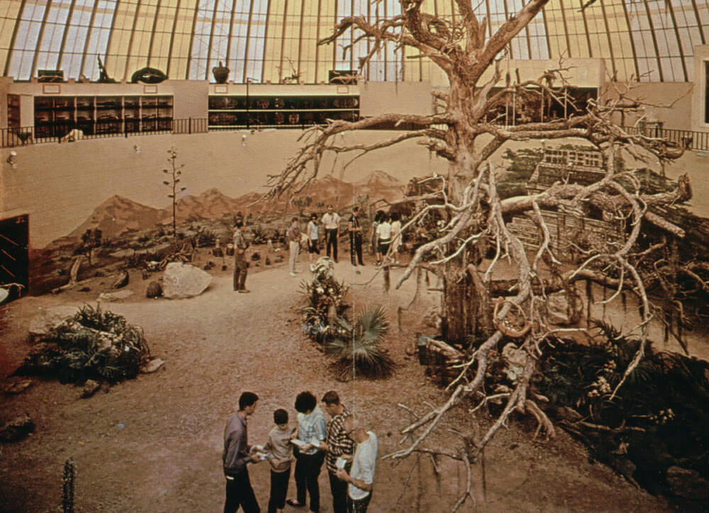 1966-skydome-safariroom.jpg