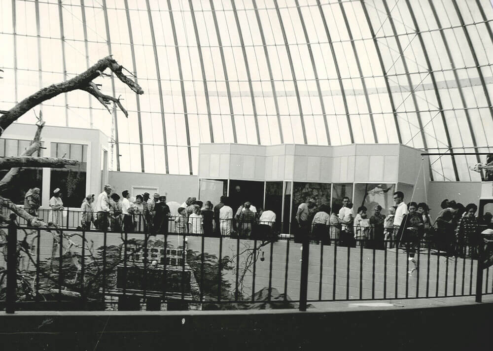 1967c-skydome.jpg