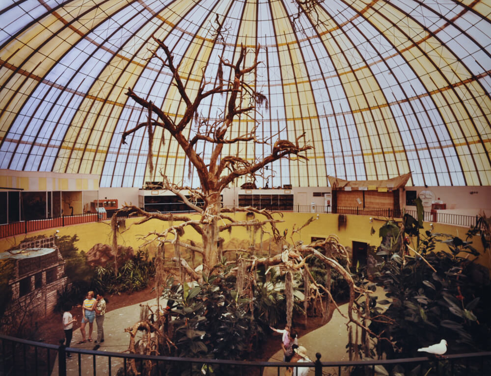 1968-skydome-safariroom.jpg