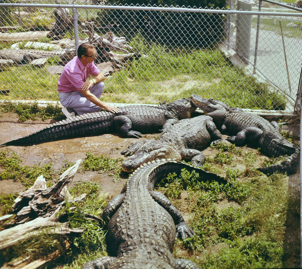 1968c-earl-gator.jpg