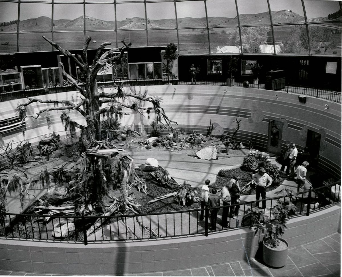 1977