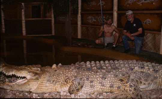 Saltwater Crocodile-- Maniac