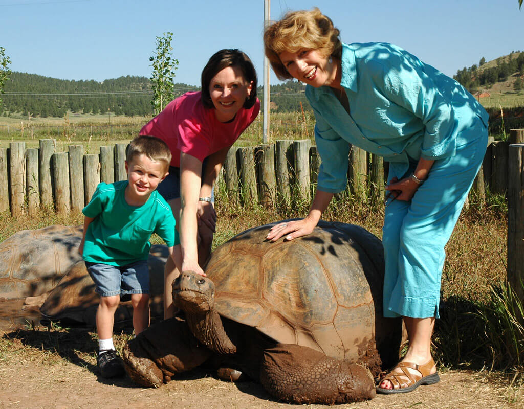 Giant Tortoises