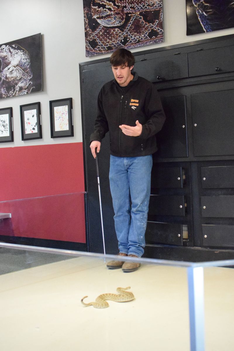 Indoor snake show
