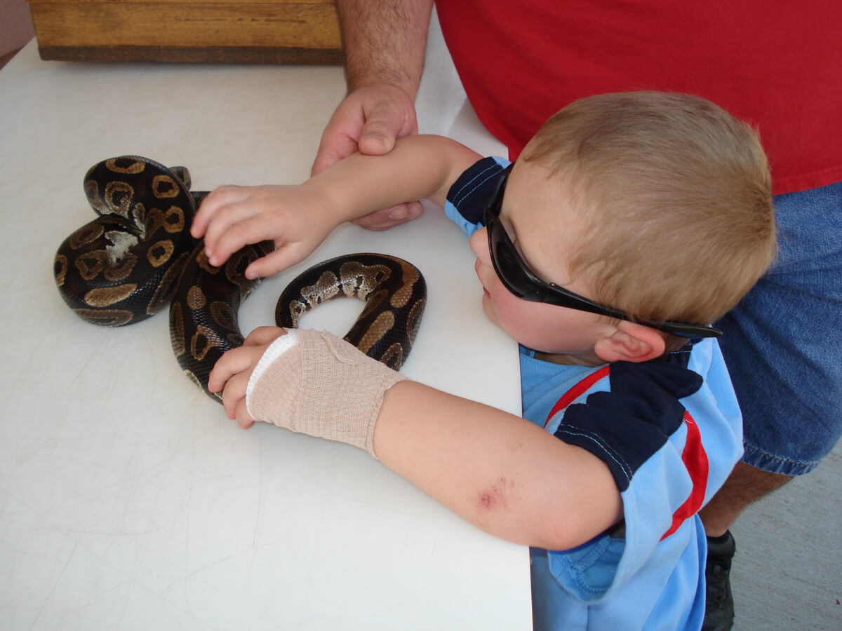 Touching the snakes