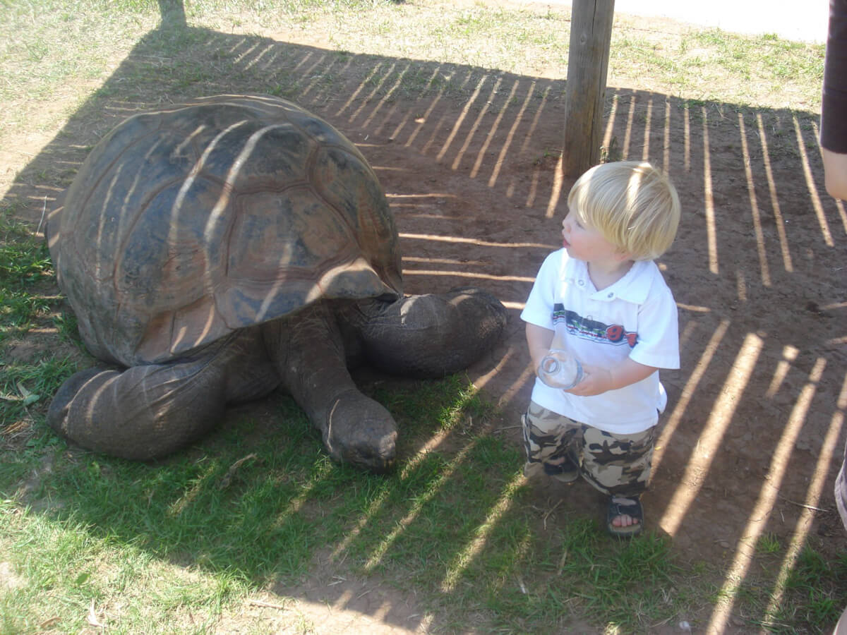 Joshua and the Tortoise