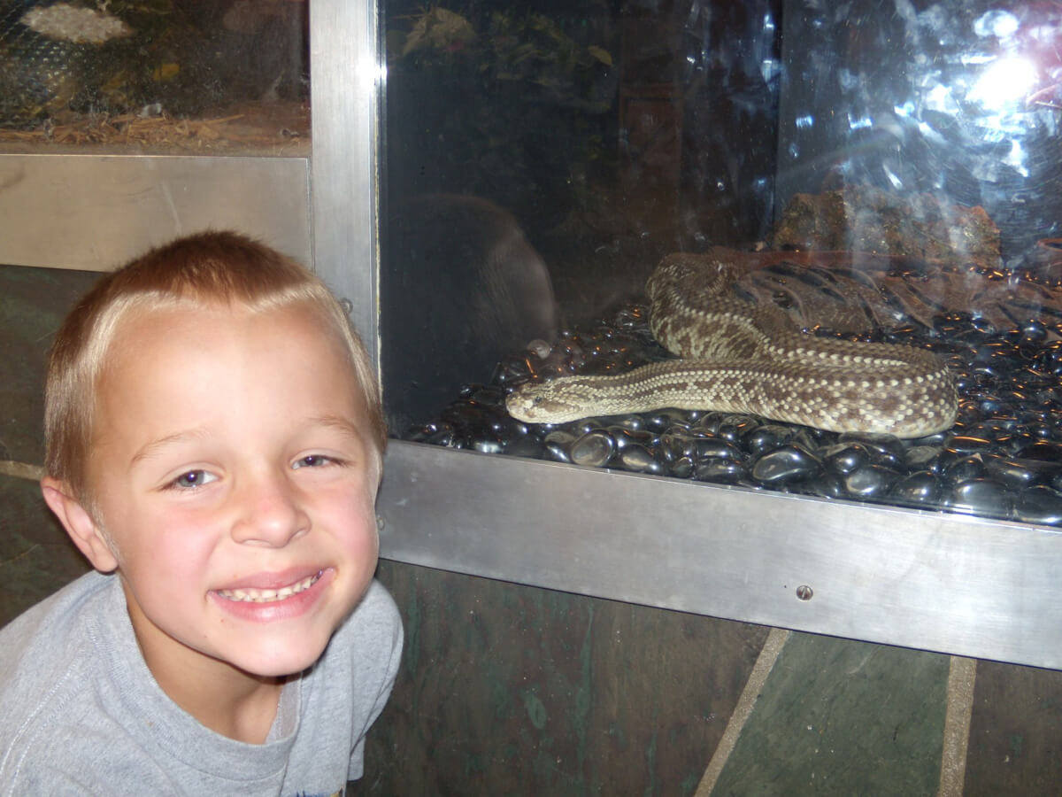 Jacob with snake