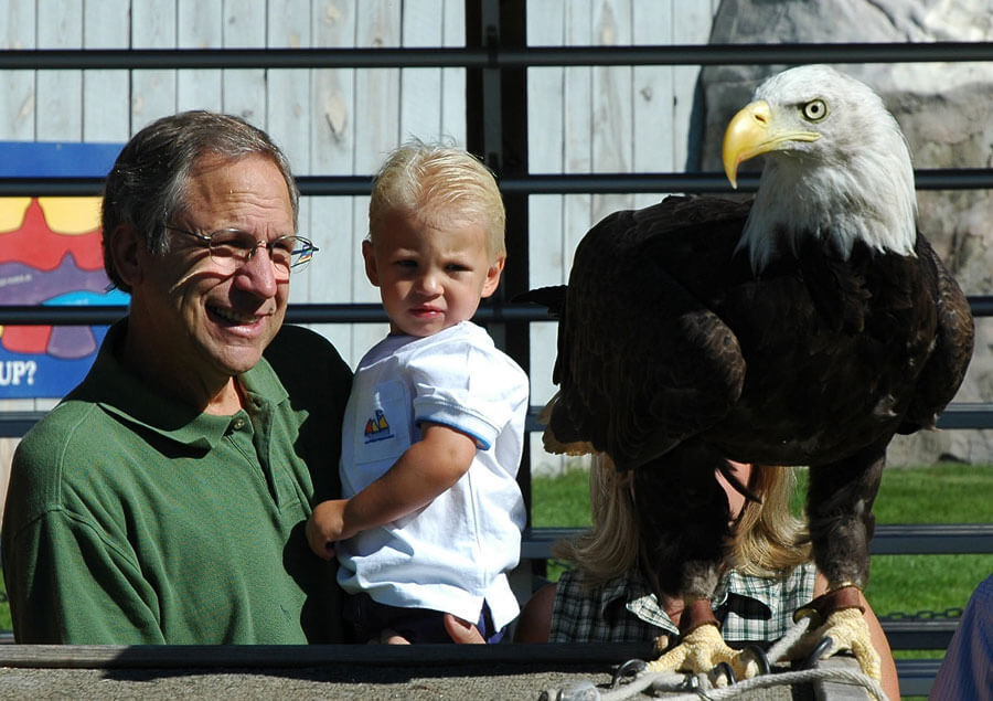 Cheyenne the Bald Eagle