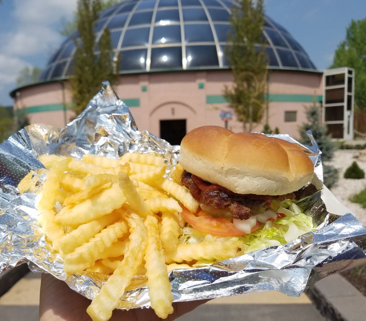 Hamburger &amp; French Fries