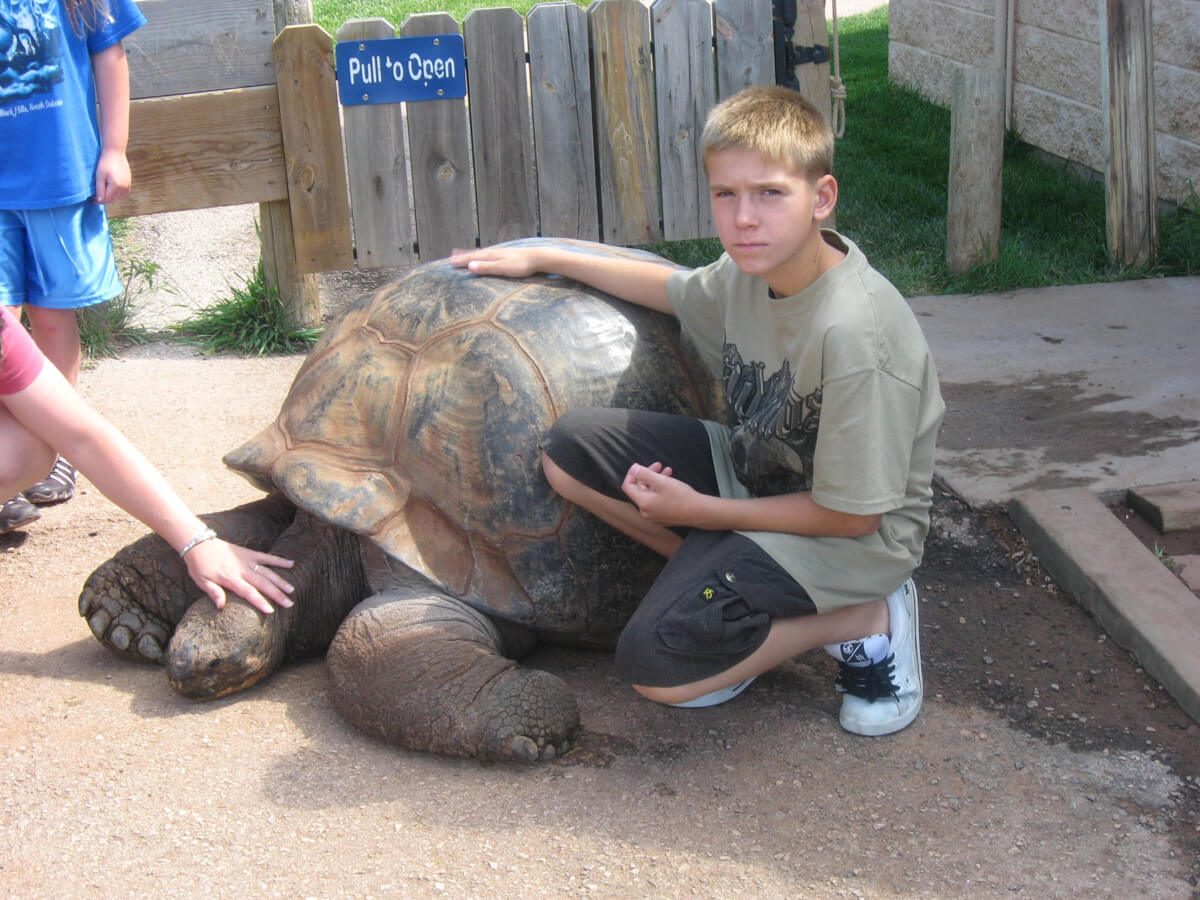 Methuselah the Galapagos Tortoise