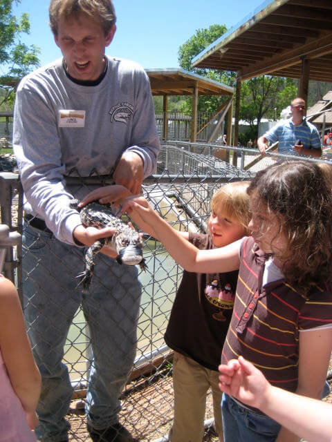 petting babies