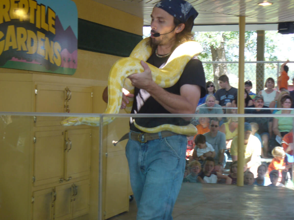 Snake Show