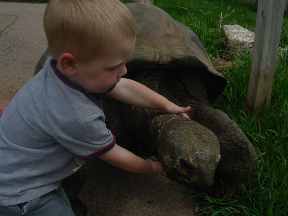 hugging a turtle