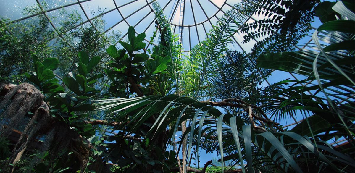 Skydome Interior-002