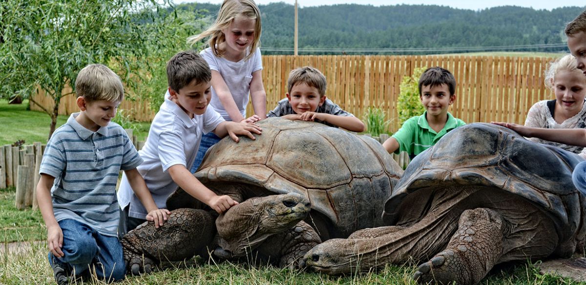 Wild Animal Park Black Hills Attraction Reptile Gardens