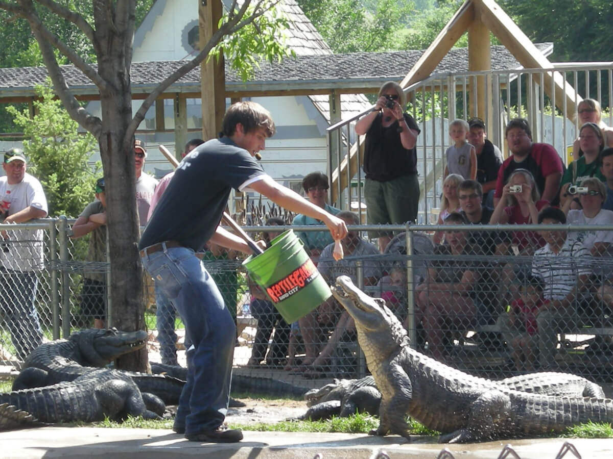 Reptile Gardens Hours Things To Do In The Black Hills Reptile