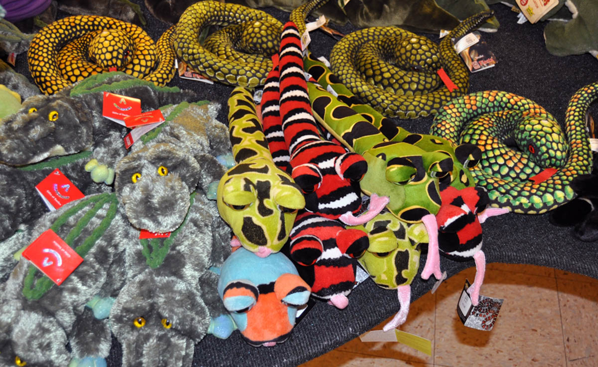 Snake and reptile store discount