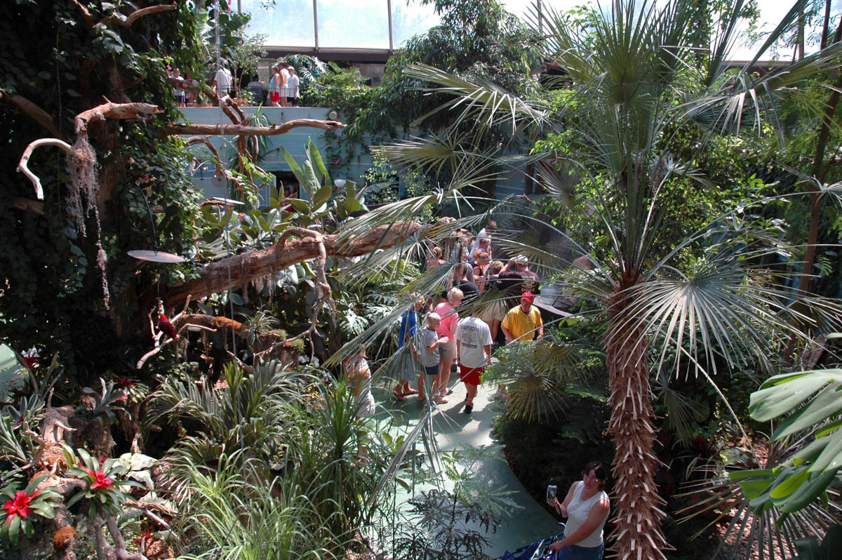 Safari Room-28