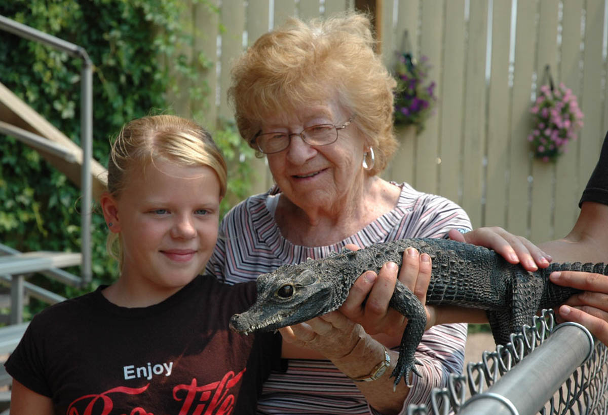 Meet Fluffy at the Gator Show