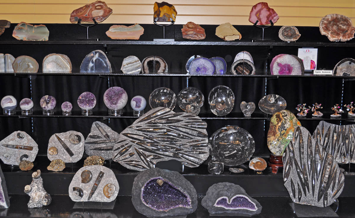 Black Hills Institute Gift Shop - Calvin Coolidge in the Black Hills - Deadwood - Check spelling or type a new query.
