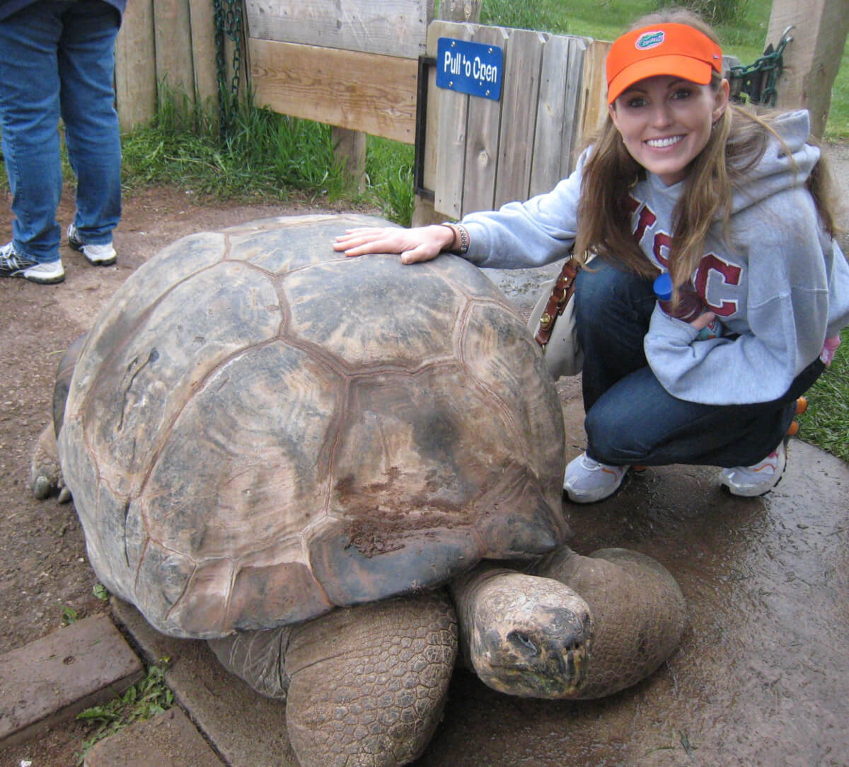 Giant Tortoise