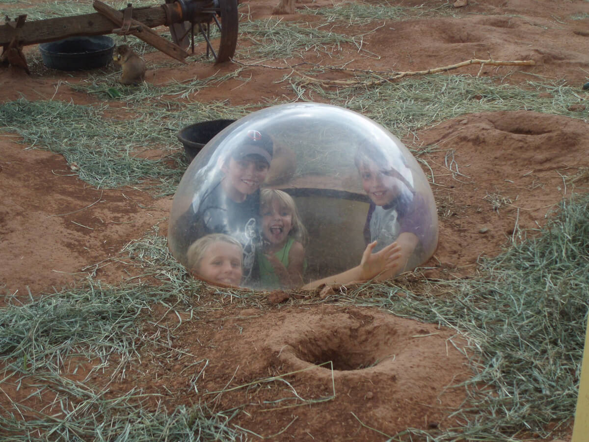 Prairie Dog Town