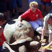 Methuselah the Galapagos Tortoise