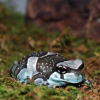 Amazon Milk Frog