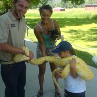 Oklahoma girl tames albino python