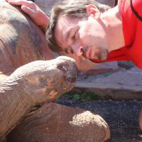 Visit the Giant Tortoises