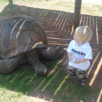 Joshua and the Tortoise