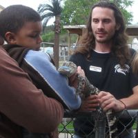 Meet Fluffy at the Gator Show