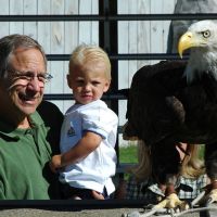 Cheyenne the Bald Eagle