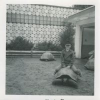A Long Time Ago