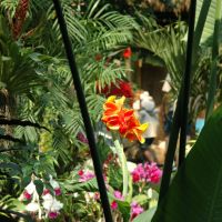 Sky Dome Flowers