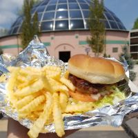 Hamburger &amp; French Fries