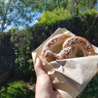 Soft Pretzel