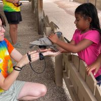 holding a pigeon