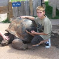 Methuselah the Galapagos Tortoise