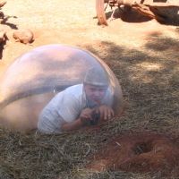 Prairie Dog Town