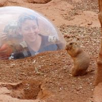 Visit the Prairie Dog Town