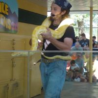 Snake Show